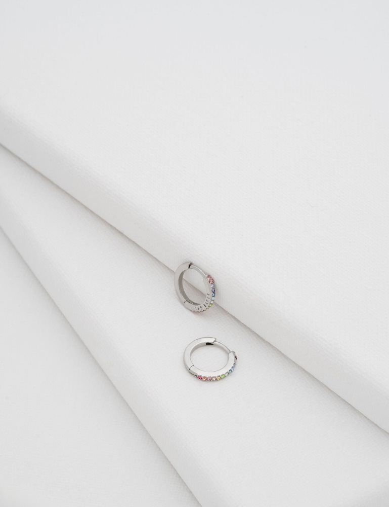 Bijuterii Dama Ted Baker Heplie - Crystal Huggie Hoop Earrings Argintii | 037485-QZP